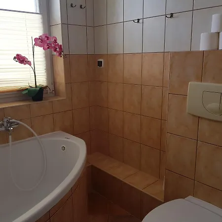 Apartament Okrzei 12